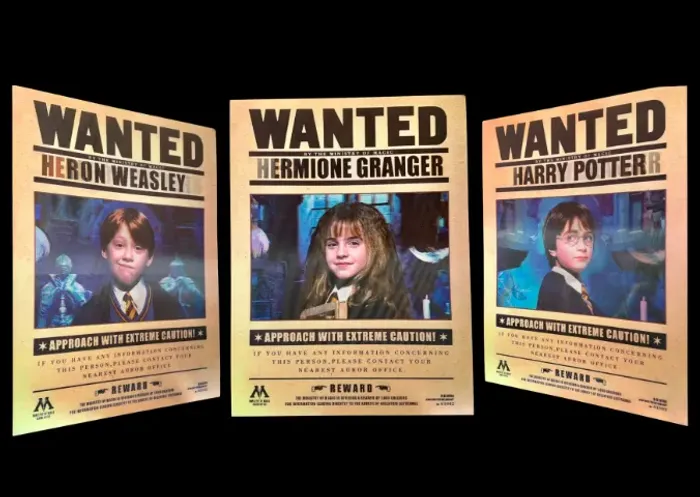 Pôster 3D Harry Potter I