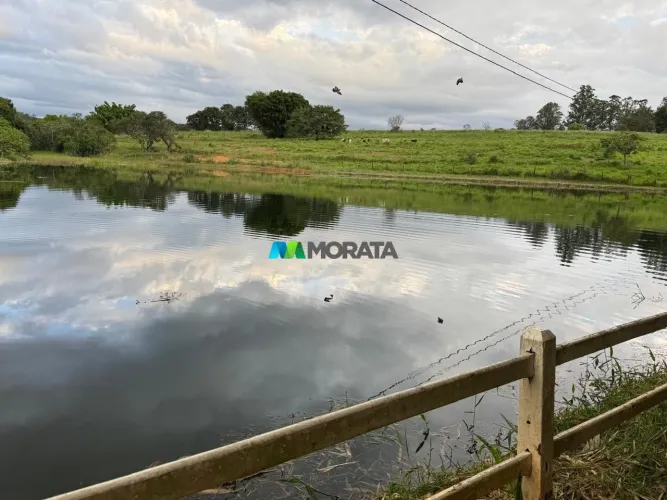 FAZENDA À VENDA - 130 HECTARES - PARAOPEBA (MG)