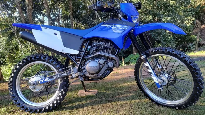 TTR 230