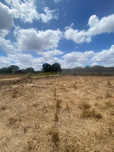 Terreno 10x25 