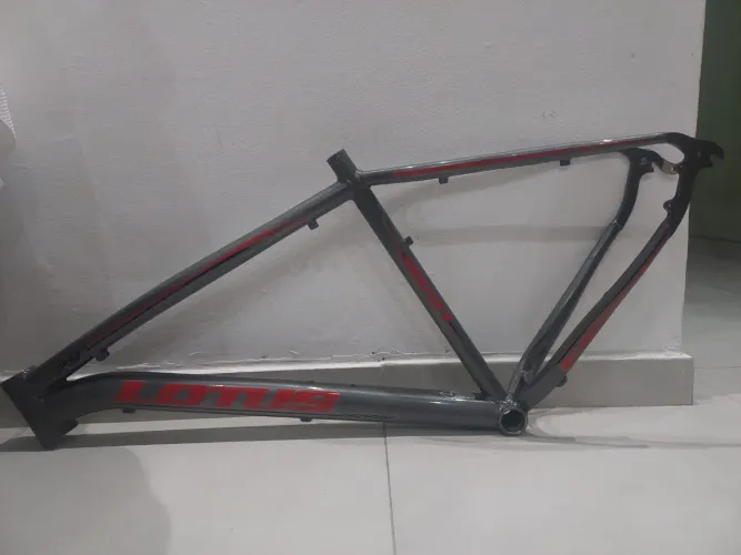 Quadro Lotus Tam. 19
