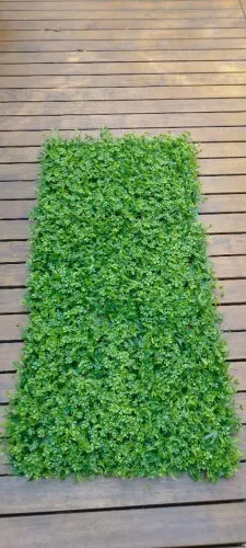 Painel verde