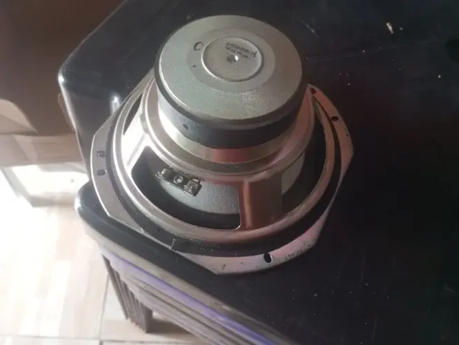 Auto falante sony