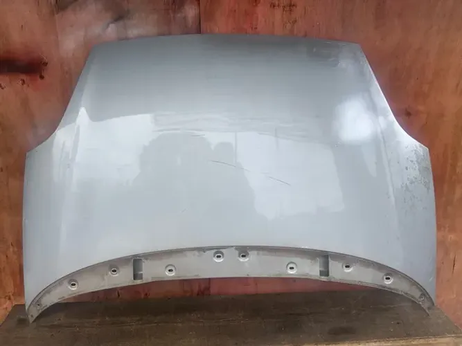 Capo Fiat punto