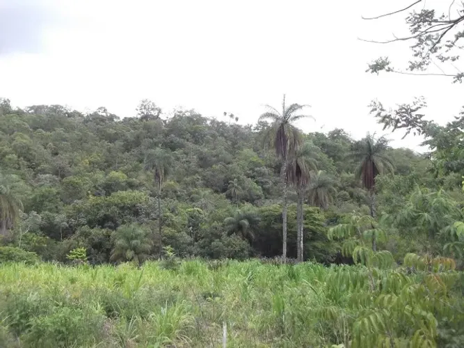 Lote rural de 36.000m ²,belíssima vista, nascente de água, Serra do Cipo.