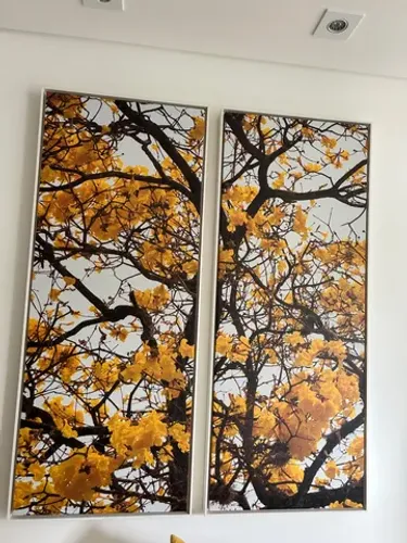 Quadro ipê díptico  canvas urban arts 
