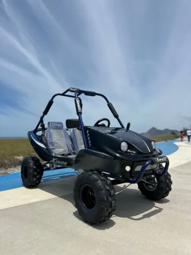 Mini Buggy Bugre Swell 0km