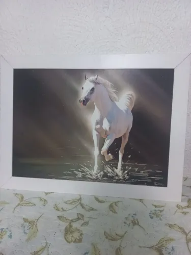 Quadro de Cavalo Branco-51cm×81cm