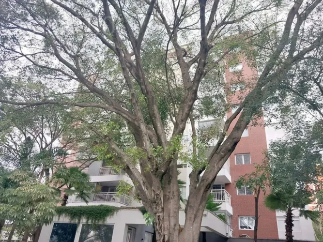 Duplex, Vila Madalena - São Paulo