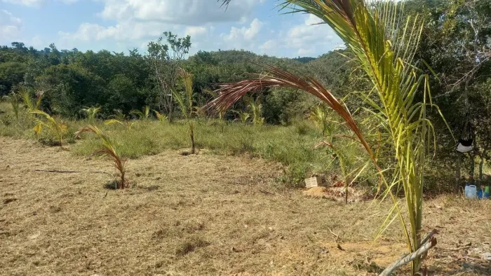 Vende -se terreno em Salgado com 17 tarefas próximo ao parque aquático Timbó , quebradas 5