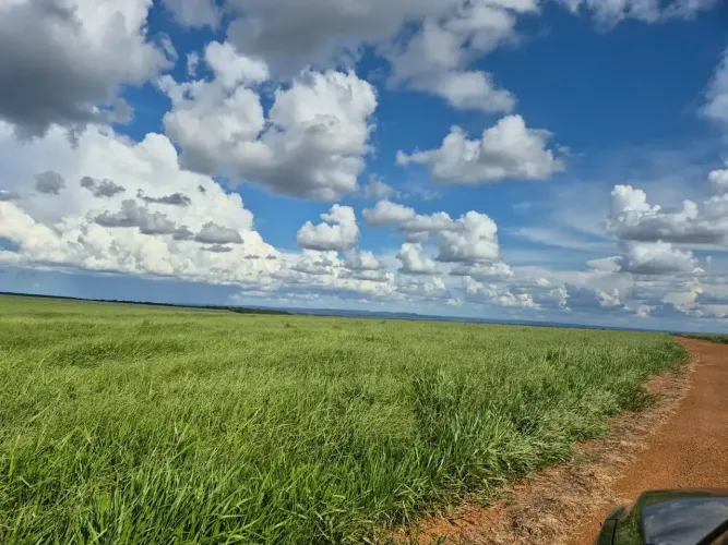 FAZENDA À VENDA EM GENERAL CARNEIRO MT | 901 ALQUEIRES