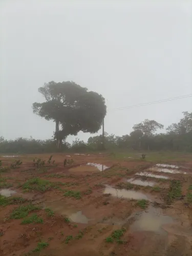 TERRENO À VENDA - SÍTIO CAJUEIRO | ARATUBA-CE