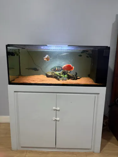 Aquário 1,30 x 65 x 50