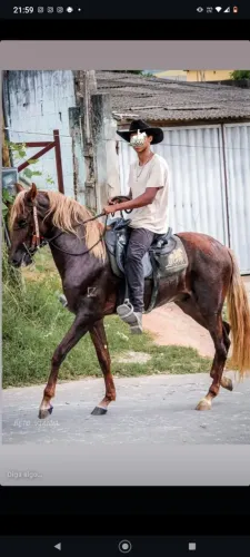 De um cavalo