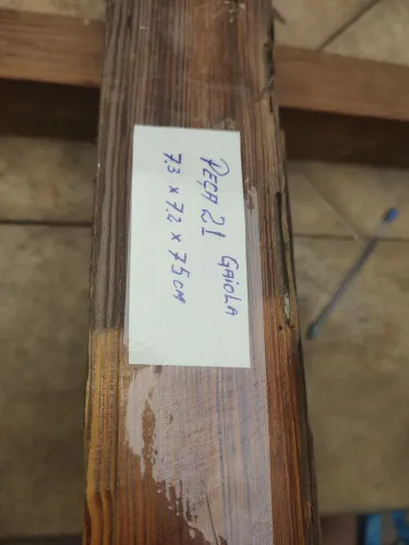 Pinho de Riga para gaiola