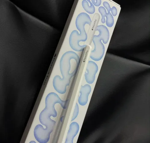Apple Pencil Pro Branca Seminovo bem conservado Garantia de loja