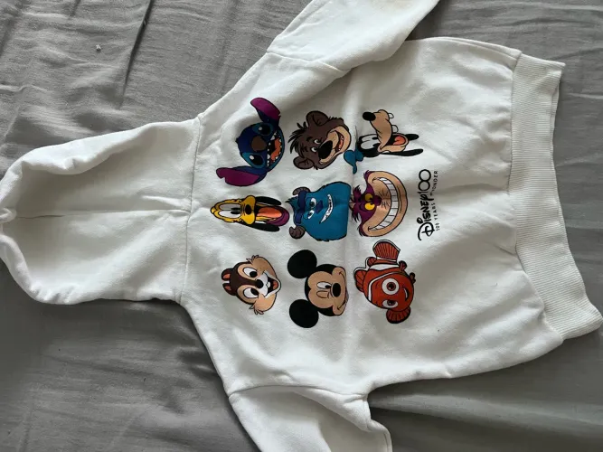 Casaco disney ZARA infantil