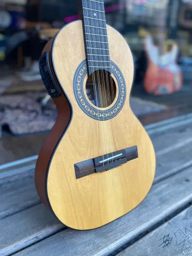 Viola Rozini 10 cordas Rv151Atnf 