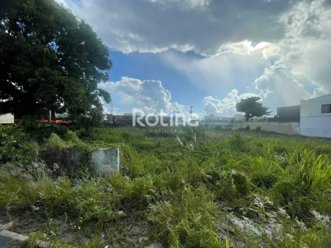Terreno à venda, Brasil - Uberlândia/MG - Rotina Imobiliária