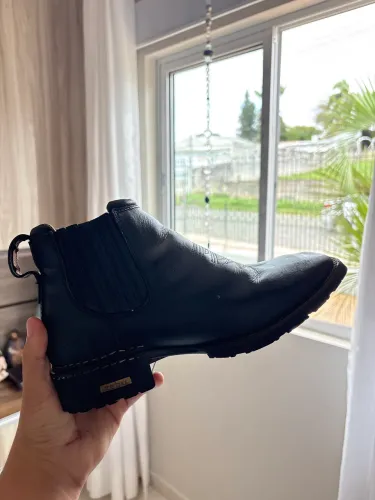 Bota texana zebu