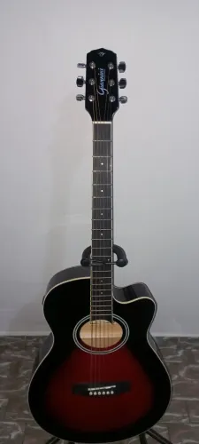 Vendo violão Giannini Performance com cordas de excelente qualidade.