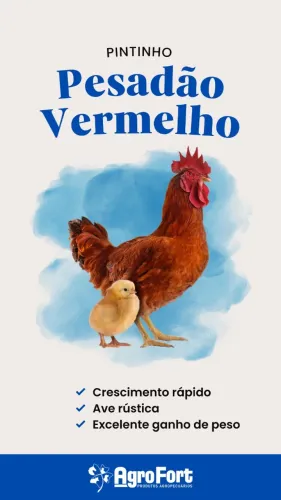 Pintinhos de Pesadão 