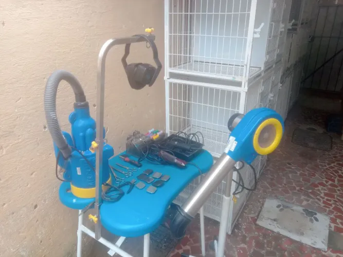 Equipamentos para banho e tosa