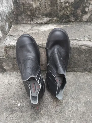 Bota