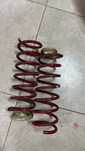 Molas esportivas