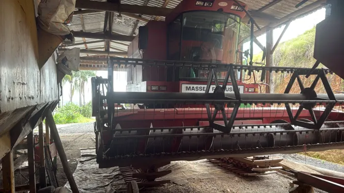 MASSEY FERGUSON