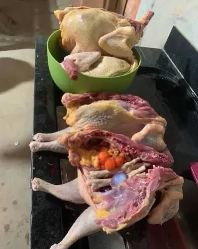 Vende-se galinha caipira abatida no valor de 50 