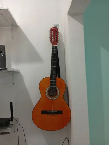 Viola Giannini vs14 completa