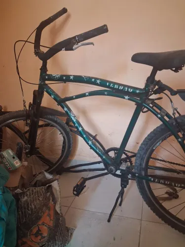 Bicicleta verde do palmeiras
