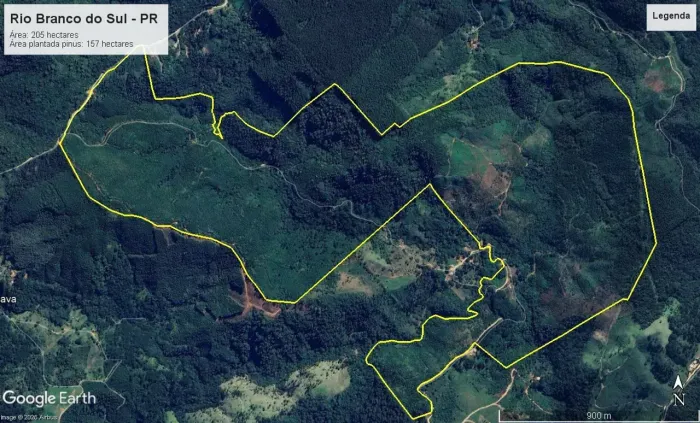 Área reflorestamento, 205 hectares ou 85 alqueires, Rio Branco do Sul, 157 hectares de pla