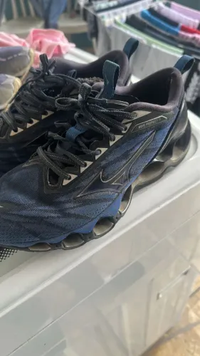 Mizuno prophecy 11