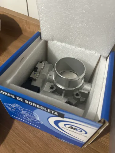 Vendo corpo de borboleta