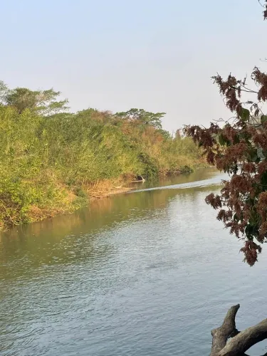 10 ALQUEIRES EM EDEALINA NA BEIRA DO RIO DOS BOIS