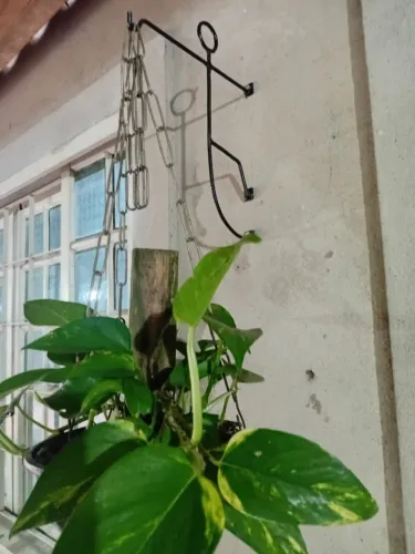 Suporte para Pendurar Planta 