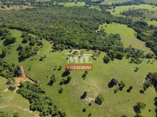 Fazenda 32 Alqueires (154,88 Hectares) Itapaci - GO