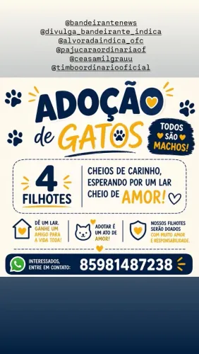 Adoção responsável 