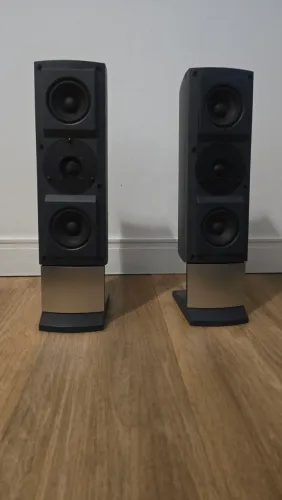 Caixas Bookshelf Japonêsas Nakamichi Soundspace 10