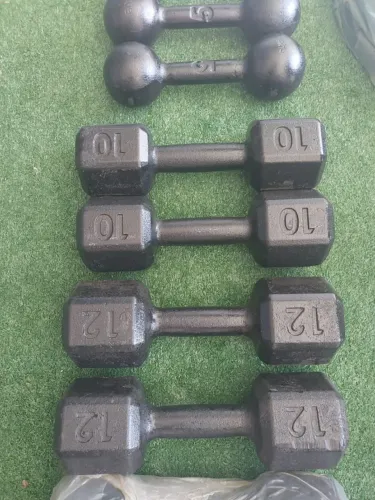 Jogo de halteres sextavados de 10 e 12kg pintados
