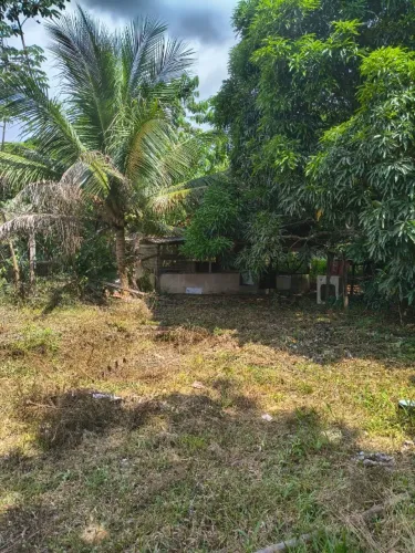 Vendo Sítio Ramal do Pau Rosa KM 21 na principal 
