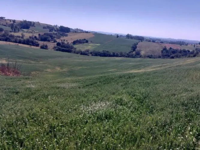 Imóvel Rural com Área de 72.600 m² (Gleba Alvorada) - Colônia Muquilão - Nova Tebas - PR