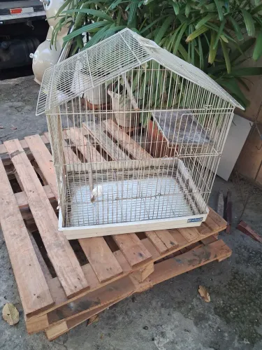 Gaiola para pássaros 