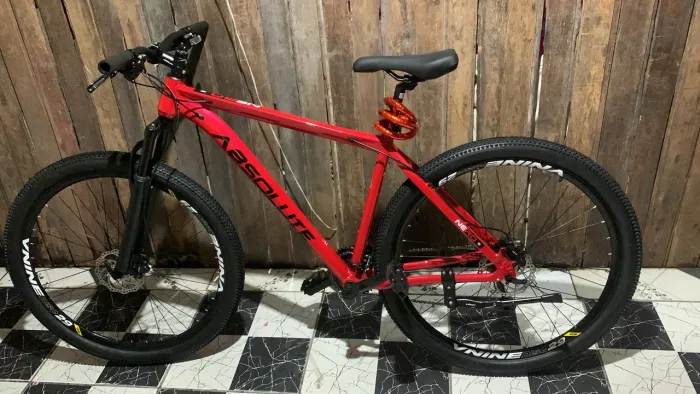 Bicicleta aro 29