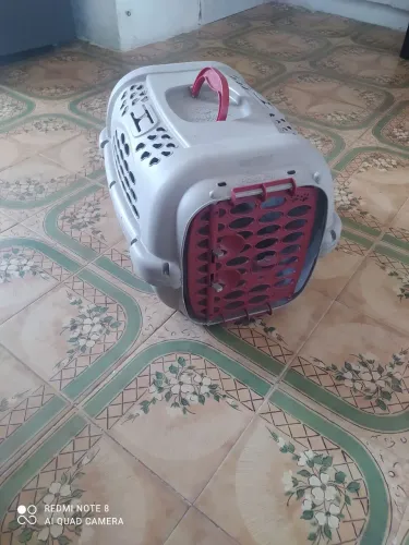 Caixa de transporte para pet N3