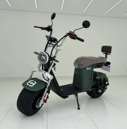 ECOVIVA HE-15 1000W