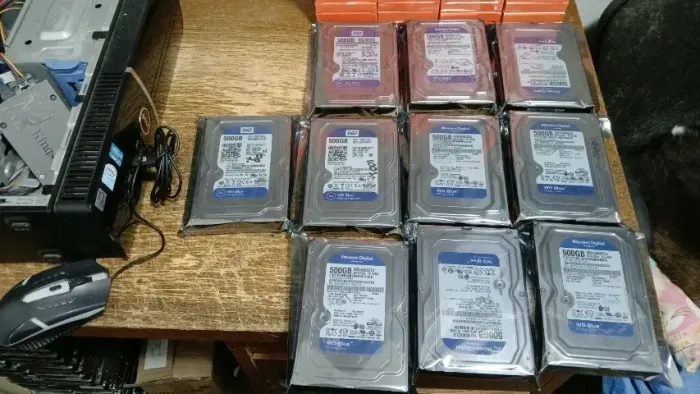 LOTE DE 10 HDS WD USADOS 500GB 100%