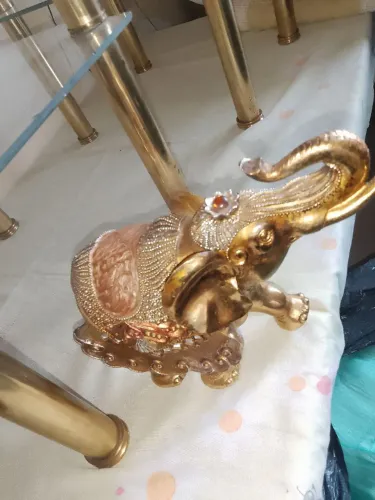 Elefante indiano